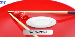 mẹo chơi xóc đĩa pkbet pro