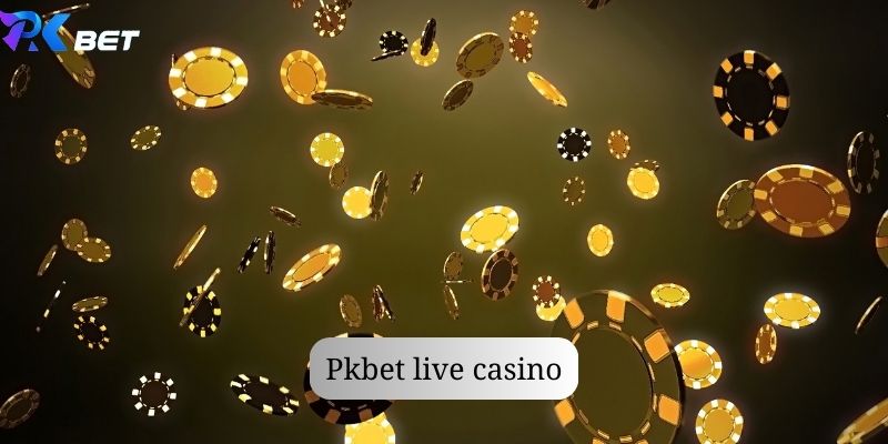 Live casino Pkbet - Top game cá cược được săn đón nhiều nhất 