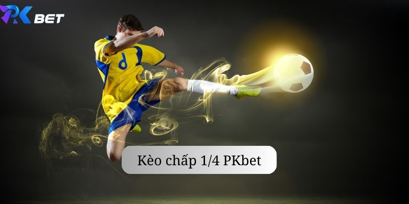 Những lưu ý khi đánh kèo ¼ pkbet nhà cái