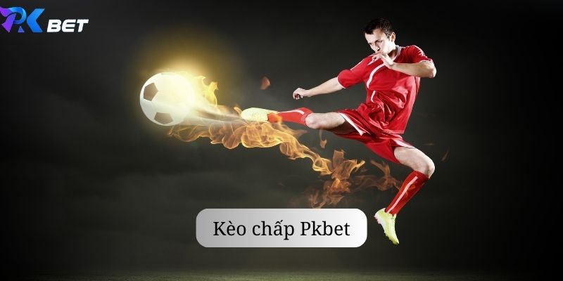 Thông tin kèo chấp 1/4 Pkbet